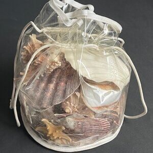 Large Sea Shell Bag 10 Count
